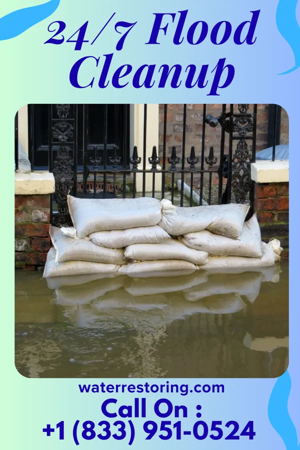 24/7 Flood Cleanup in Lexington, MS