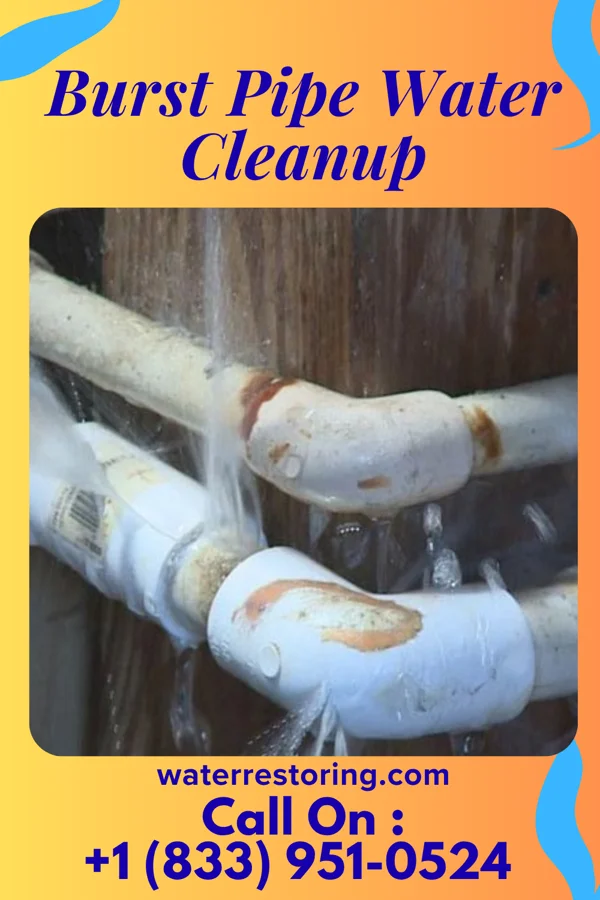 Burst Pipe Water Cleanup in Lexington, MS
