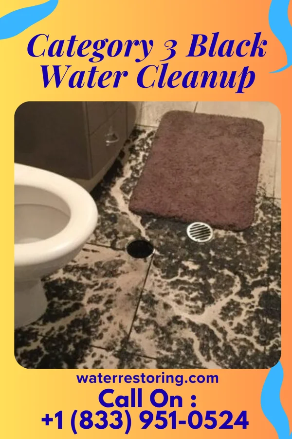 Category 3 Black Water Cleanup in Lexington, MS