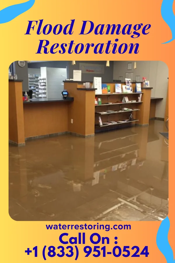 Flood Damage Restoration in Lexington, MS