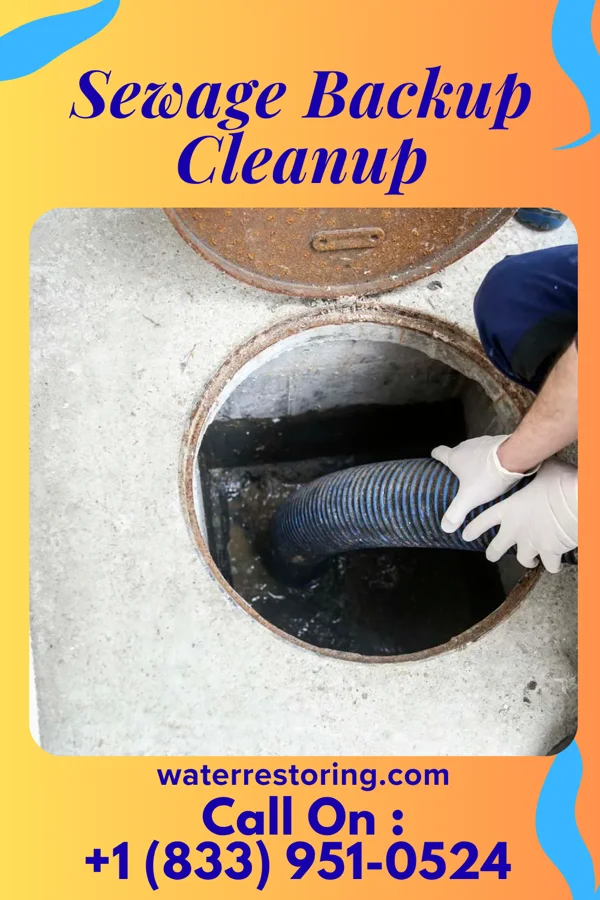 Sewage Backup Cleanup in Lexington, MS